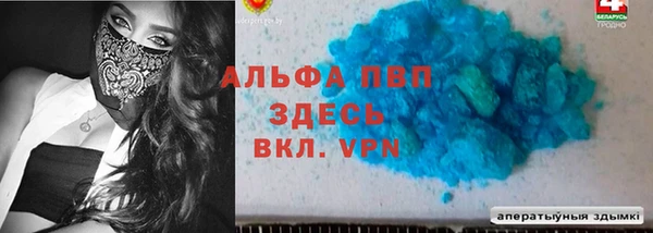 сатива Балахна