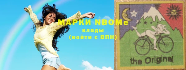 индика Аркадак