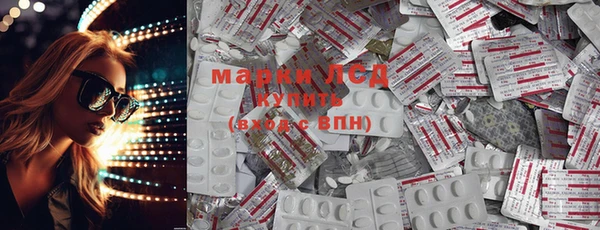 индика Аркадак